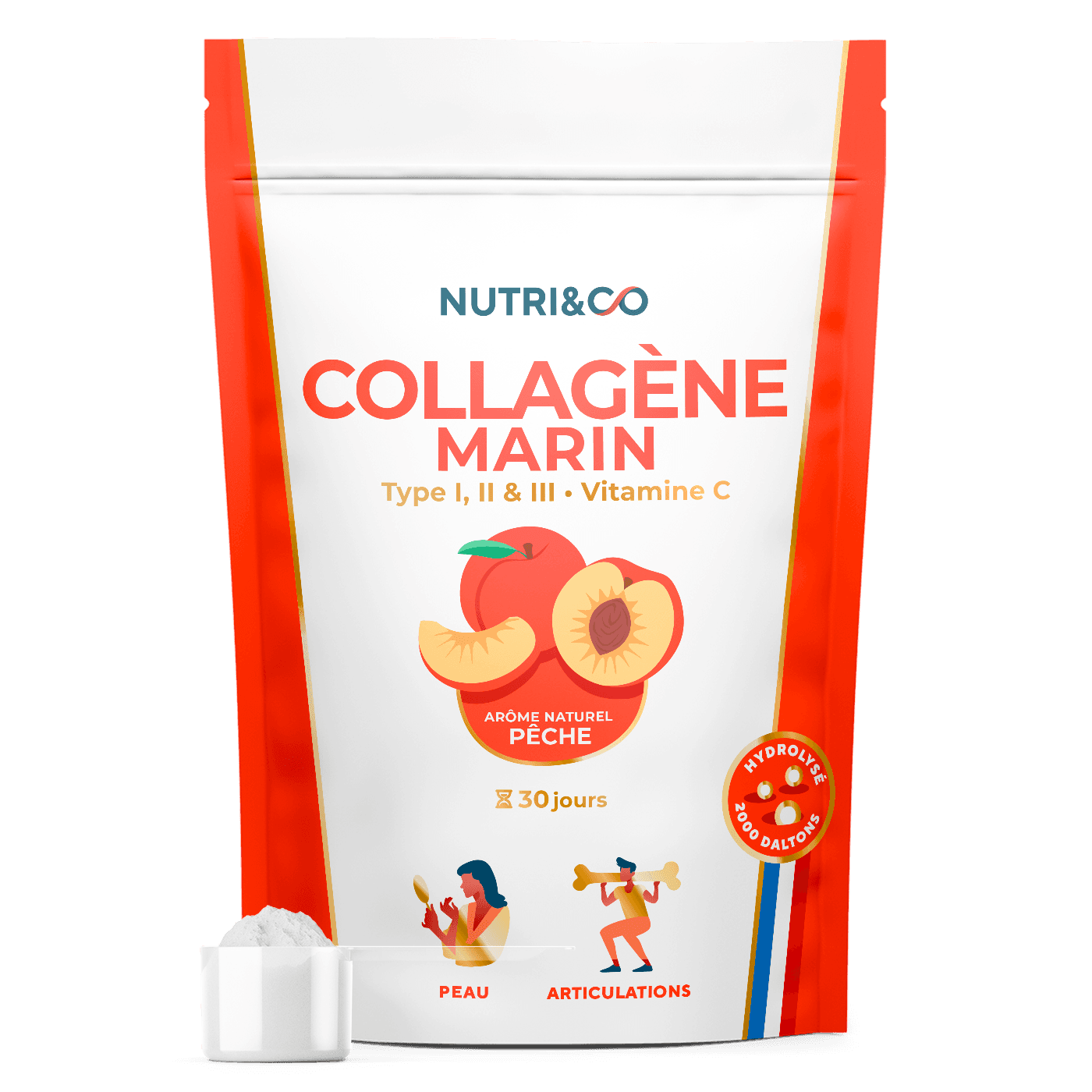 Collagène